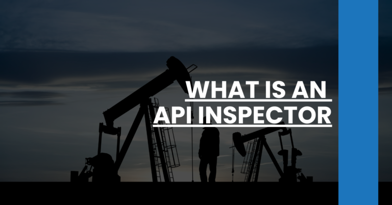 What Is An API Inspector